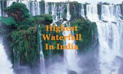 Highest Waterfall in India 2022