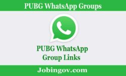 Active PUBG WhatsApp Group Link List