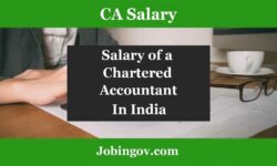 Chartered Accountant Salary in India