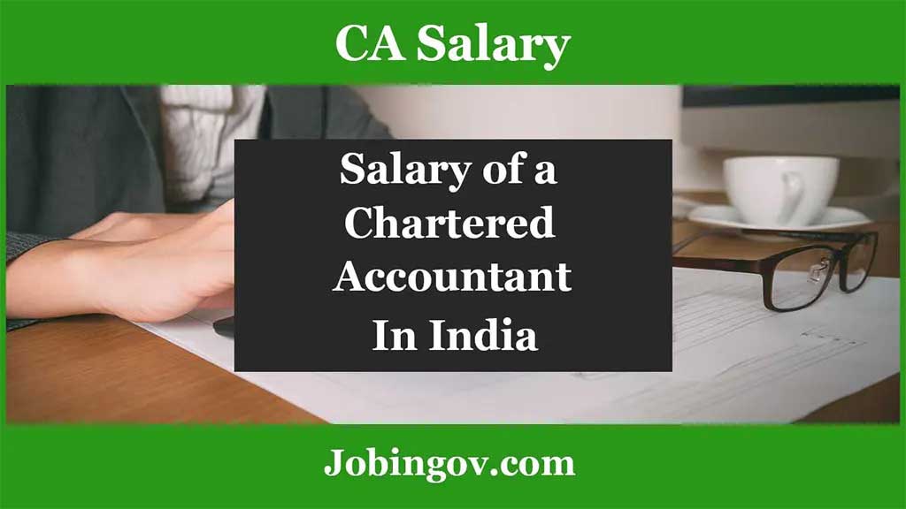 Chartered Accountant Salary In Dubai For Freshers