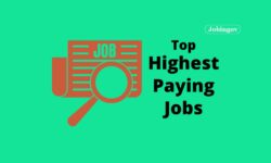 Top Highest Paying Jobs in India 2022