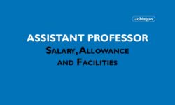 Assistant Professor Salary, Allowance and Facilities