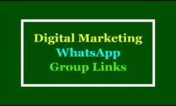 Active Digital Marketing WhatsApp Group Links 2025