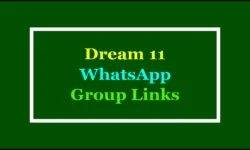 Active Dream 11 WhatsApp Group Links 2025