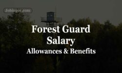 Forest Guard Salary, Allowances and Facilities 2022
