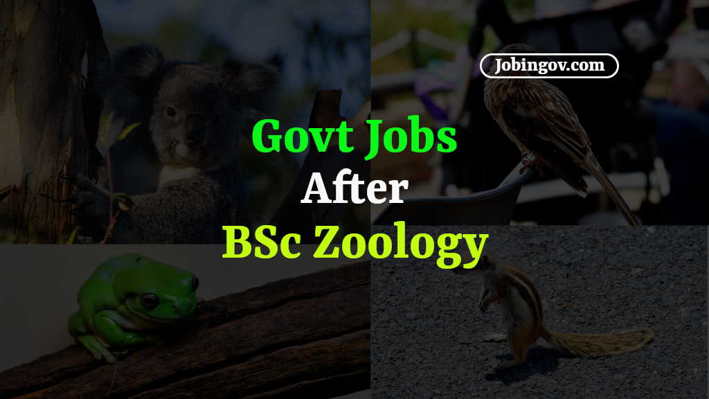 government-jobs-after-bsc-zoology