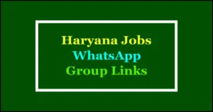 haryana jobs whatsapp groups