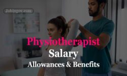 Physiotherapist Salary, Allowances and Facilities 2022
