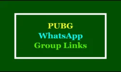 Active PUBG WhatsApp Group Links 2025