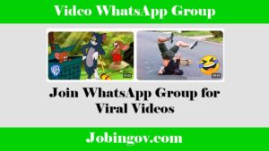 Video WhatsApp Group