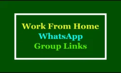 Active Work From Home WhatsApp Group Links 2025